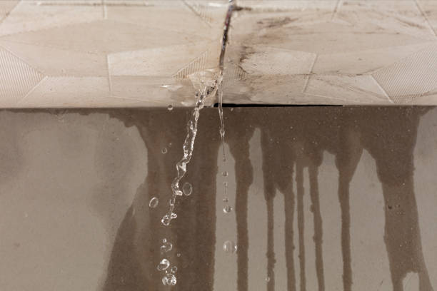 Professional Burst Pipe Cleanup technician working in Rockford, IL
